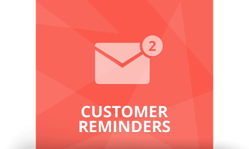 תמונה של NopCommerce CUSTOMER REMINDERS